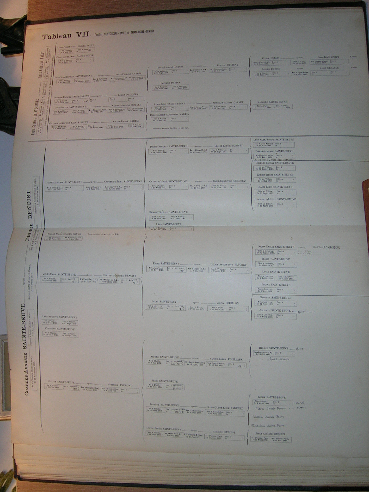 Page 36- 37